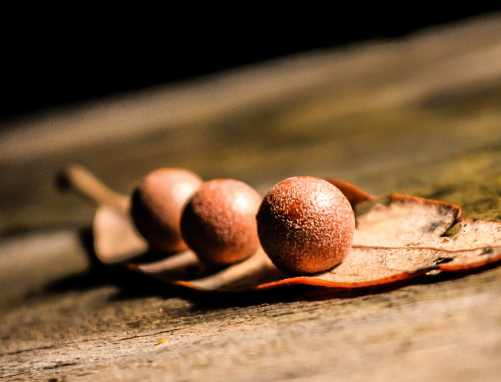 批发价格实惠的免费ddos攻击网页端